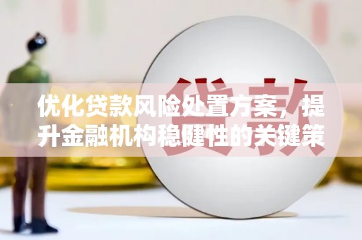 丰滨优化贷款风险处置方案，提升金融机构稳健性的关键策略