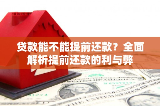 丰滨贷款能不能提前还款？全面解析提前还款的利与弊