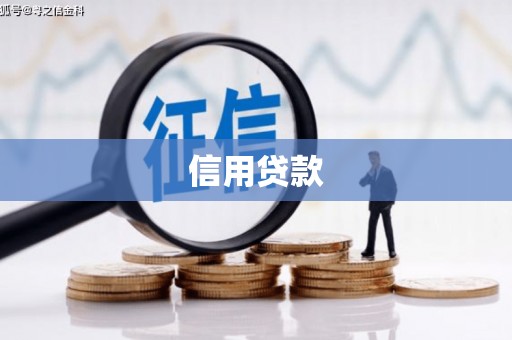 丰滨信用贷款