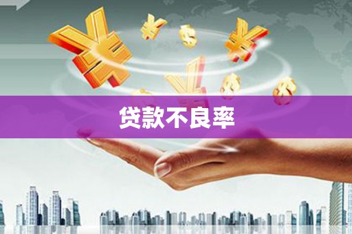 丰滨贷款不良率