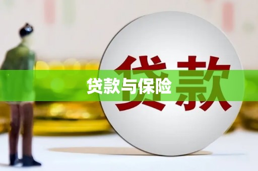 丰滨贷款与保险