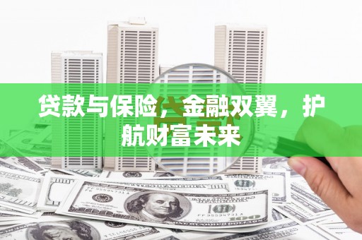 丰滨贷款与保险，金融双翼，护航财富未来