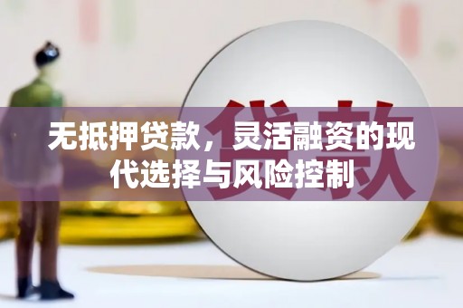 丰滨无抵押贷款，灵活融资的现代选择与风险控制