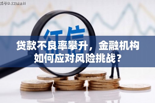 丰滨贷款不良率攀升，金融机构如何应对风险挑战？