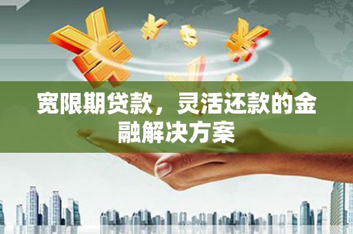 丰滨宽限期贷款，灵活还款的金融解决方案