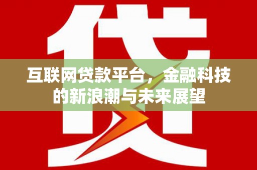 丰滨互联网贷款平台，金融科技的新浪潮与未来展望