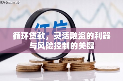 丰滨循环贷款，灵活融资的利器与风险控制的关键
