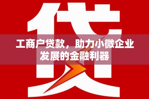 丰滨工商户贷款，助力小微企业发展的金融利器