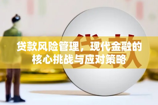 丰滨贷款风险管理，现代金融的核心挑战与应对策略