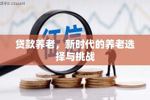 丰滨贷款养老，新时代的养老选择与挑战