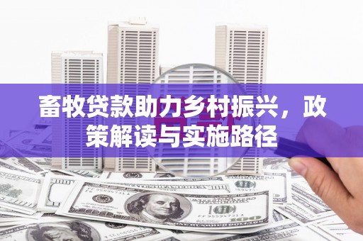 丰滨畜牧贷款助力乡村振兴，政策解读与实施路径