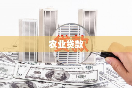 丰滨农业贷款