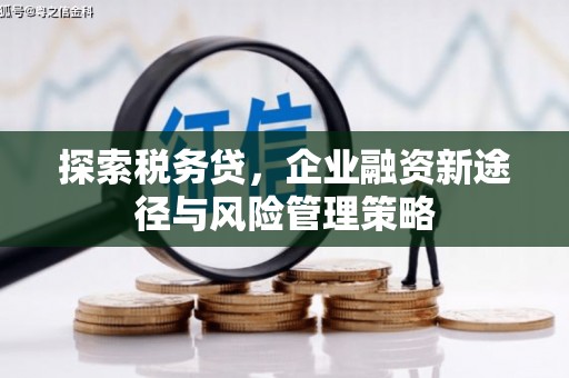 丰滨探索税务贷，企业融资新途径与风险管理策略