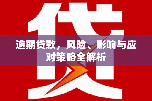 丰滨逾期贷款，风险、影响与应对策略全解析