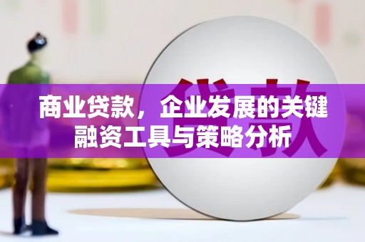 丰滨商业贷款，企业发展的关键融资工具与策略分析