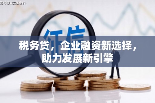 丰滨税务贷，企业融资新选择，助力发展新引擎