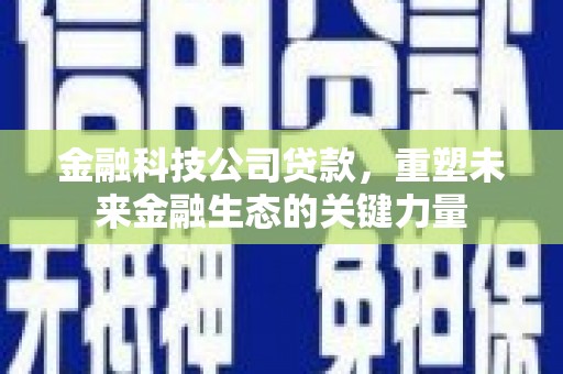 丰滨金融科技公司贷款，重塑未来金融生态的关键力量