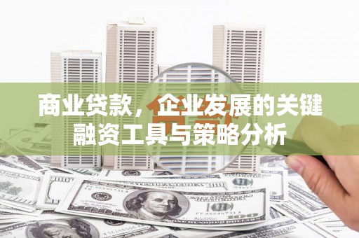 丰滨商业贷款，企业发展的关键融资工具与策略分析