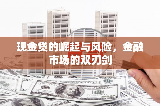 丰滨现金贷的崛起与风险，金融市场的双刃剑