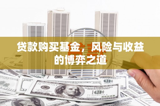 丰滨贷款购买基金，风险与收益的博弈之道