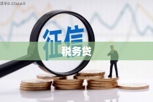丰滨税务贷