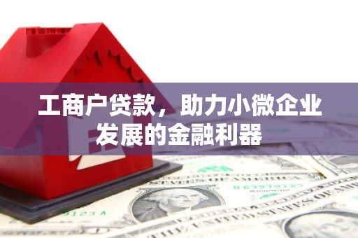 丰滨工商户贷款，助力小微企业发展的金融利器