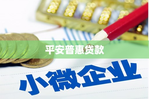丰滨平安普惠贷款