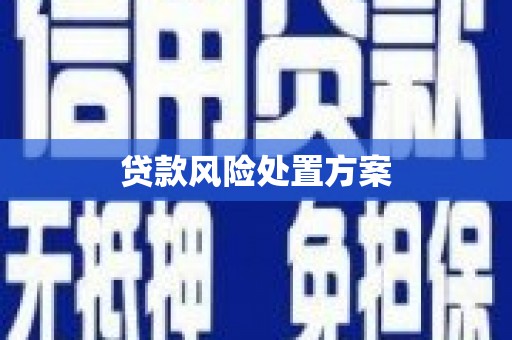 丰滨贷款风险处置方案