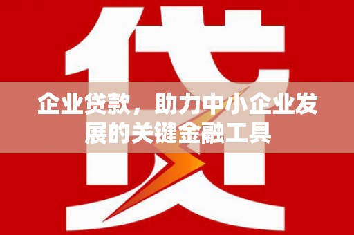 丰滨企业贷款，助力中小企业发展的关键金融工具