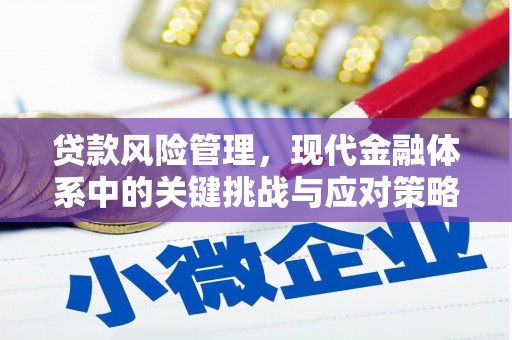 丰滨贷款风险管理，现代金融体系中的关键挑战与应对策略
