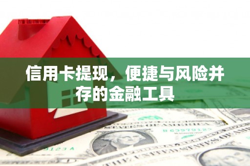 丰滨信用卡提现，便捷与风险并存的金融工具