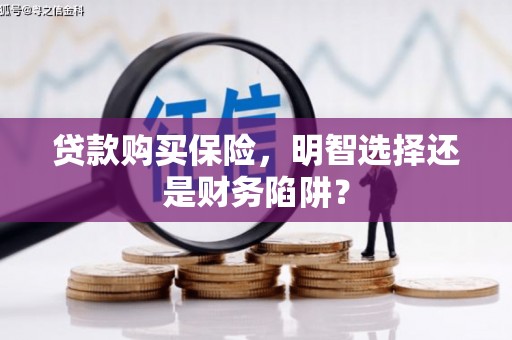 丰滨贷款购买保险，明智选择还是财务陷阱？