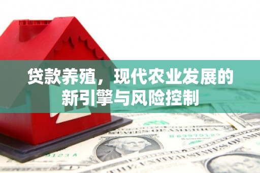 丰滨贷款养殖，现代农业发展的新引擎与风险控制