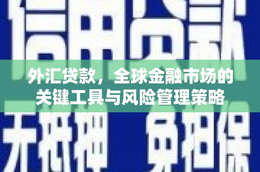 丰滨外汇贷款，全球金融市场的关键工具与风险管理策略