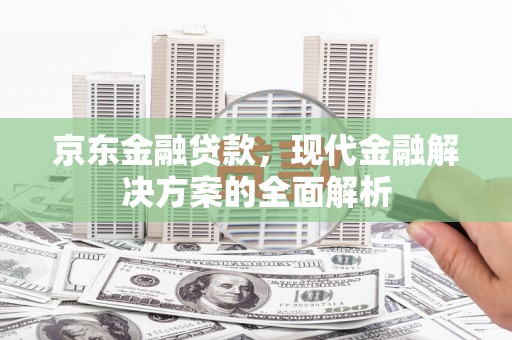 丰滨京东金融贷款，现代金融解决方案的全面解析