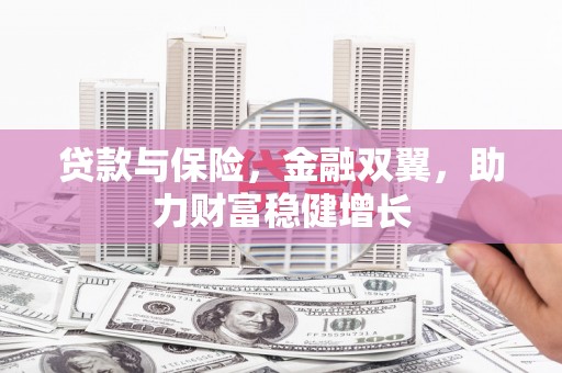 丰滨贷款与保险，金融双翼，助力财富稳健增长