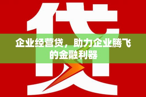 丰滨企业经营贷，助力企业腾飞的金融利器