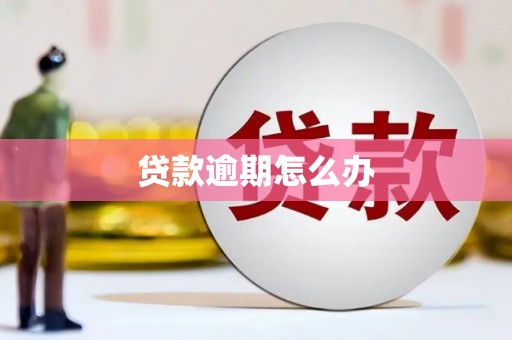 丰滨贷款逾期怎么办