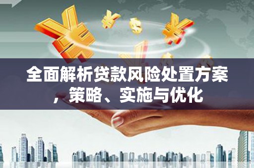 丰滨全面解析贷款风险处置方案，策略、实施与优化