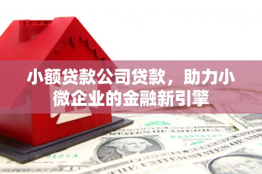 丰滨小额贷款公司贷款，助力小微企业的金融新引擎