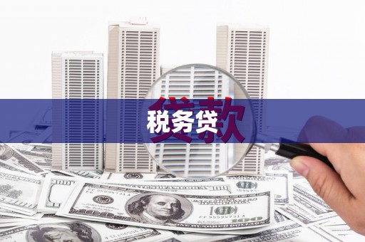 丰滨税务贷
