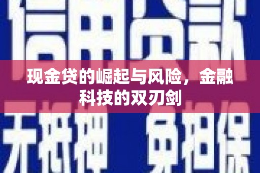 丰滨现金贷的崛起与风险，金融科技的双刃剑