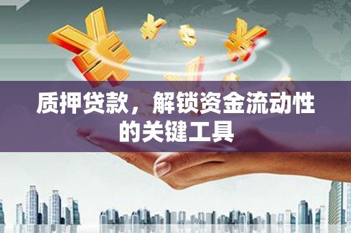 丰滨质押贷款，解锁资金流动性的关键工具