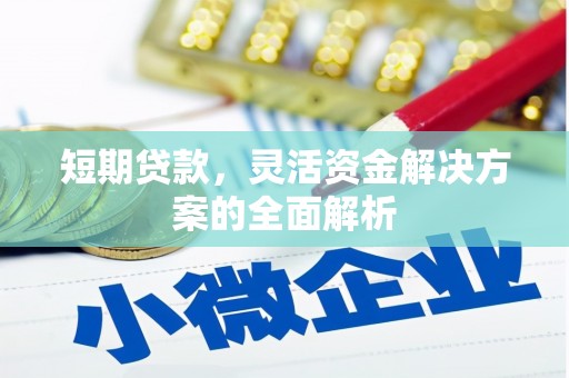 丰滨短期贷款，灵活资金解决方案的全面解析