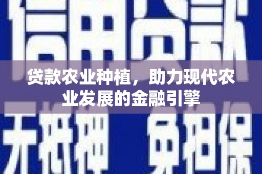 丰滨贷款农业种植，助力现代农业发展的金融引擎