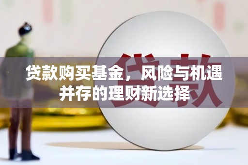 丰滨贷款购买基金，风险与机遇并存的理财新选择