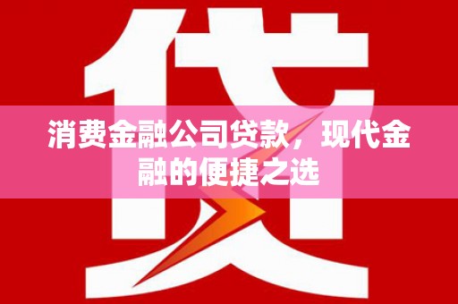 丰滨消费金融公司贷款，现代金融的便捷之选