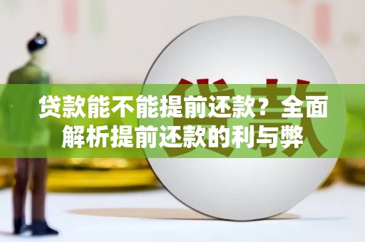 丰滨贷款能不能提前还款？全面解析提前还款的利与弊