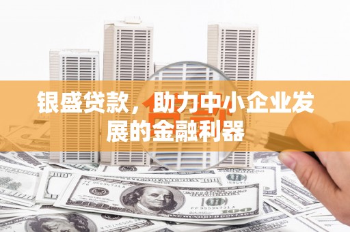 丰滨银盛贷款，助力中小企业发展的金融利器