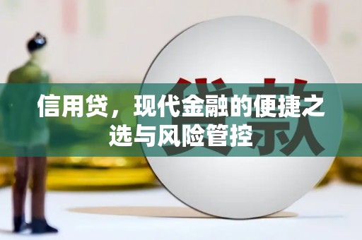 丰滨信用贷，现代金融的便捷之选与风险管控